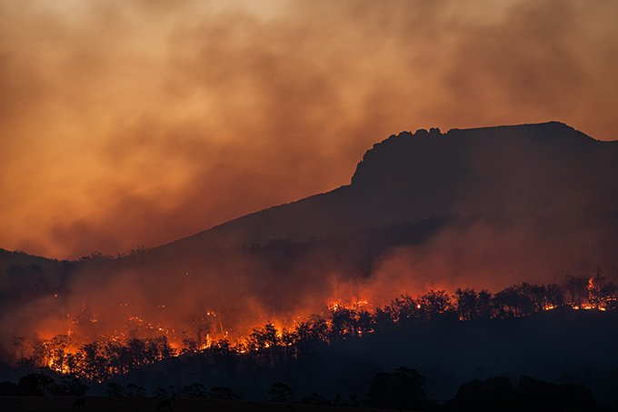 Verheerende Brände in Australien 2021 - Foto: Matt Palmer/Unsplash